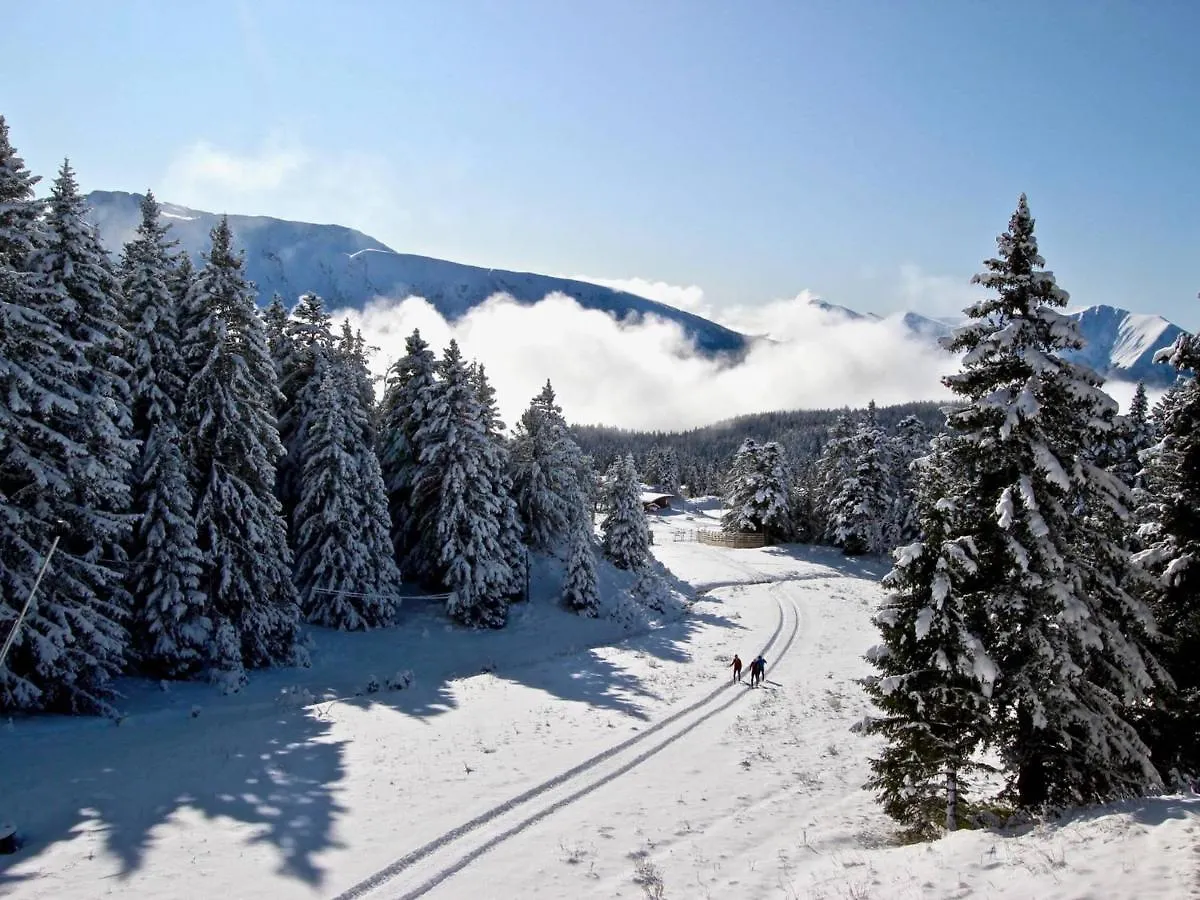 Appartement Studio Cabine A Chamrousse, Rdc, Balcon Nord, Au Pied Des Pistes, Bien Equipe - Fr-1-340-274